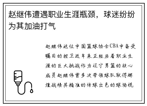 赵继伟遭遇职业生涯瓶颈，球迷纷纷为其加油打气